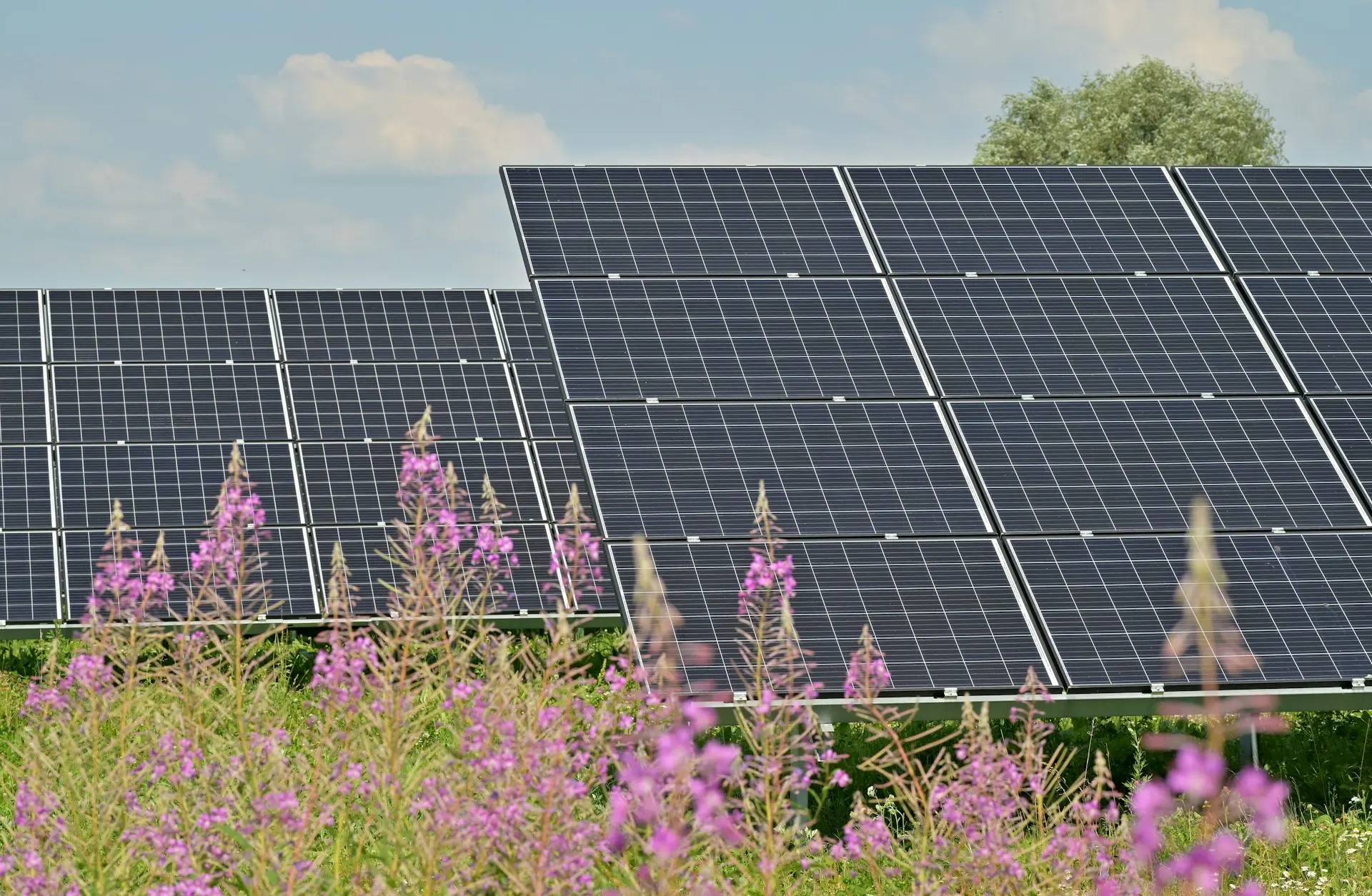 Foto de painéis de energia solar